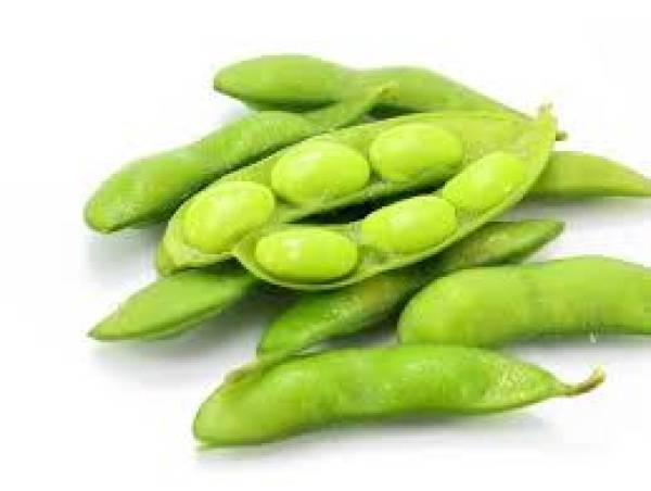 Ini Manfaat Edamame Untuk kesehatan