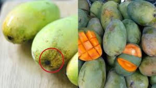 Cara Memilih Buah Mangga yang Manis dan Segar