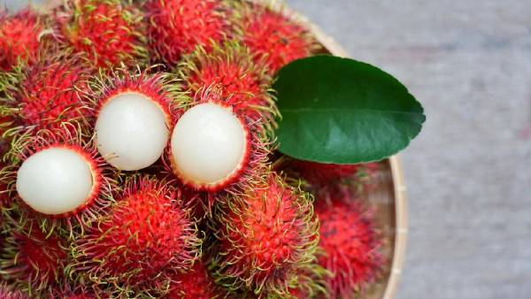 Manfaat Rambutan: Buah Manis yang Kaya Nutrisi untuk Tubuh