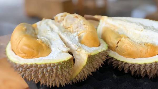 Jangan mengonsumsi makanan ini bersamaan dengan durian