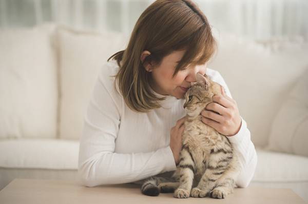 Waspadai Bahaya Tersembunyi di Balik Bulu Kucing