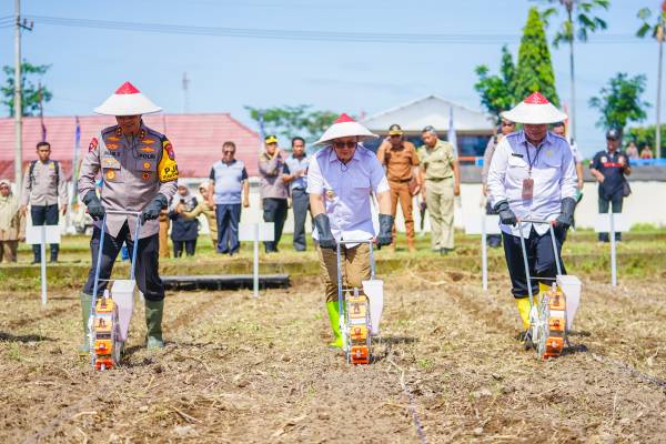 Manfaatkan Lahan Kering dan Perkebunan, Pemprov Jatim Target Produksi Jagung Meningkat 25 Persen