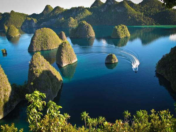 Raja Ampat: Surga Tropis dengan Fakta Unik yang Menakjubkan