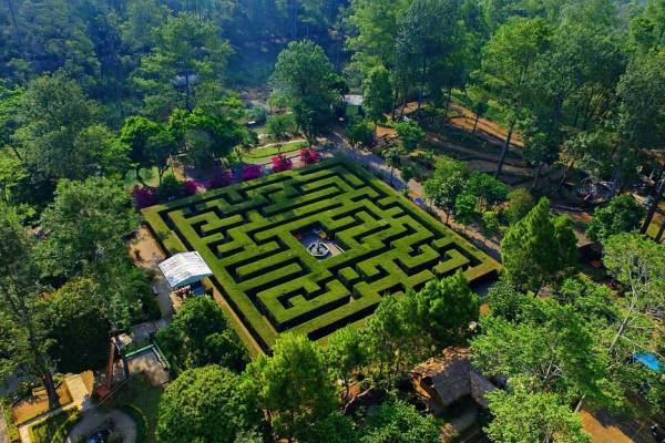 Serunya Menjelajahi Taman Labirin Coban Rondo: Wisata Petualangan di Malang