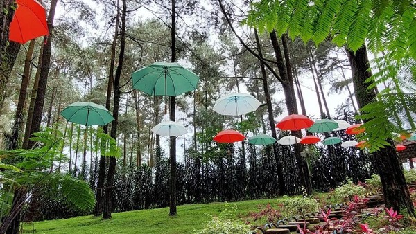 Mengenal Prabanlintang, Negeri Dongeng Tersembunyi di Kabupaten Tegal