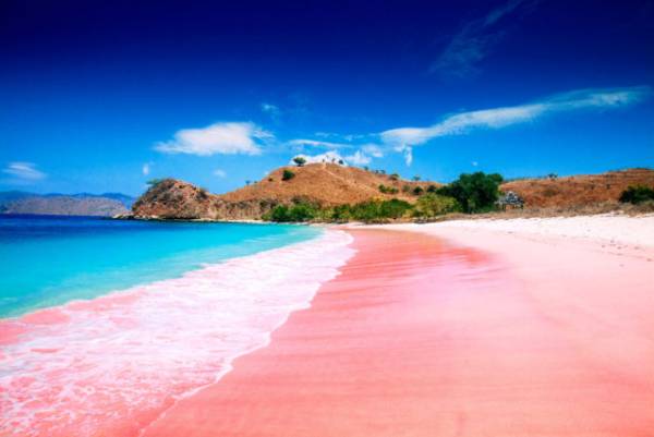 Mengagumi Pink Beach, Salah Satu Pantai Tercantik di Indonesia