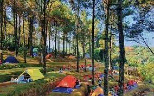 Alas Veenus Trawas, Spot Camping Estetik di Mojokerto