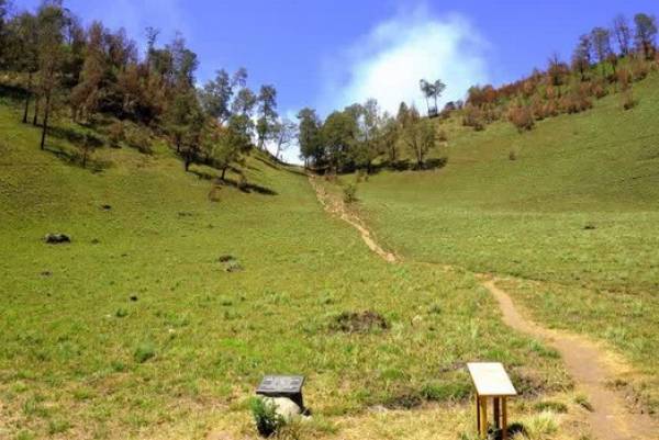 Tanjakan Cinta dan Arcopodo: Legenda Mistis Gunung Semeru