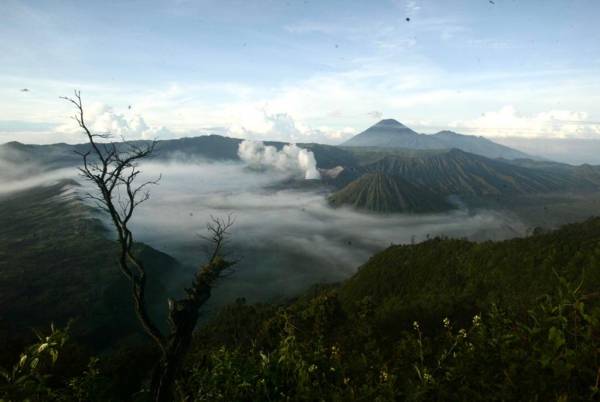 Fenomena Frozen Gunung Bromo, Traveler Domestik dan Mancanegara Nikmati Keindahan Lautan Pasir 'Salju' dari Dekat